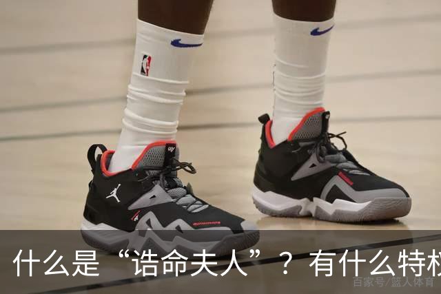 什么是“诰命夫人”？有什么特权和好处